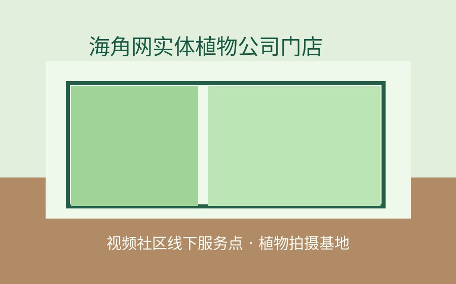 黄色仓库