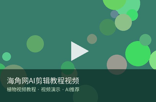 黄色仓库