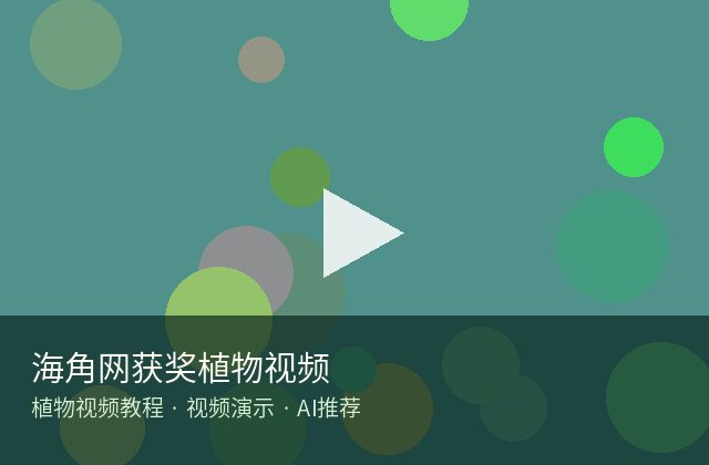 黄色仓库