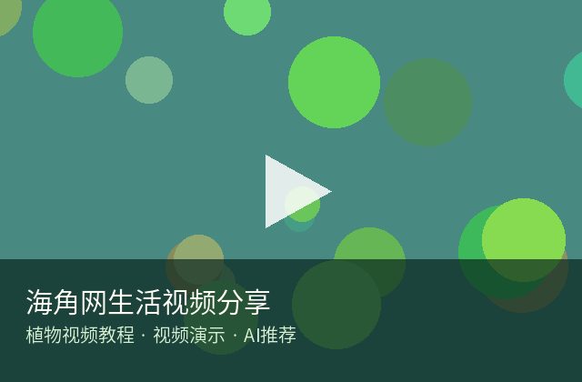 黄色仓库