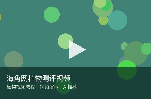 黄色仓库